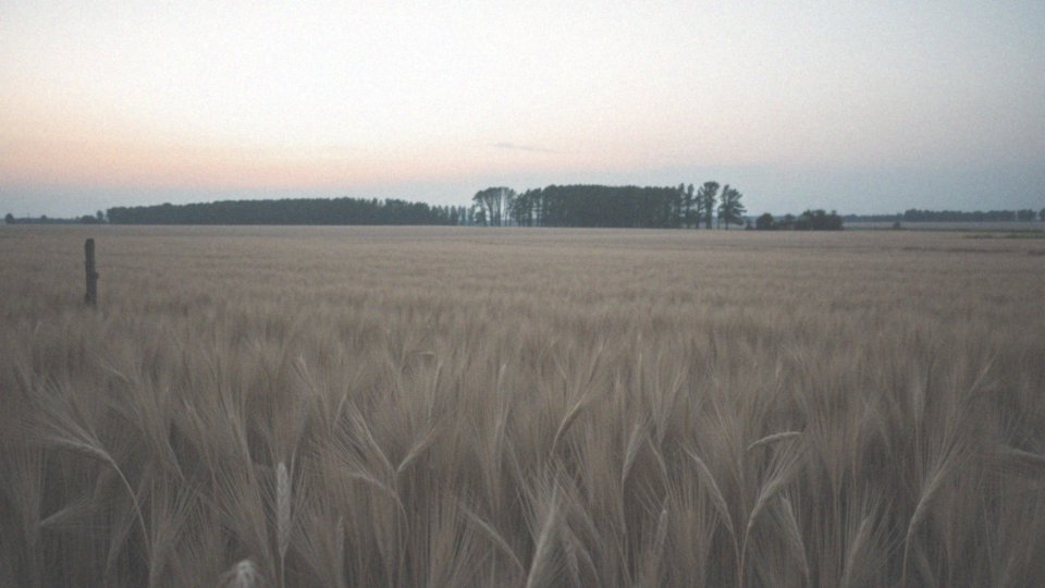 Jak zmienia się długość nocy w czasie letniego przesilenia?